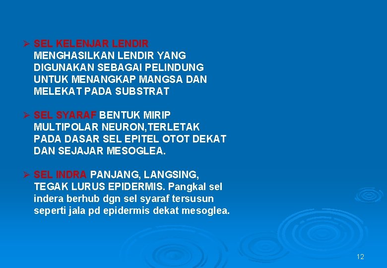 Ø SEL KELENJAR LENDIR MENGHASILKAN LENDIR YANG DIGUNAKAN SEBAGAI PELINDUNG UNTUK MENANGKAP MANGSA DAN