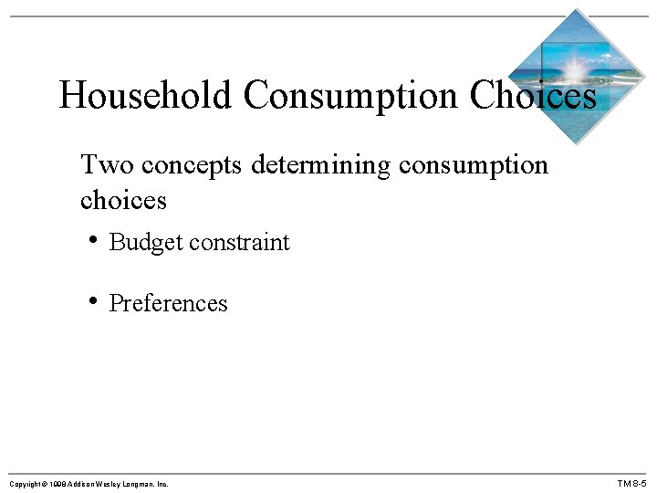 Household Consumption Choices Two concepts determining consumption choices • Budget constraint • Preferences Copyright