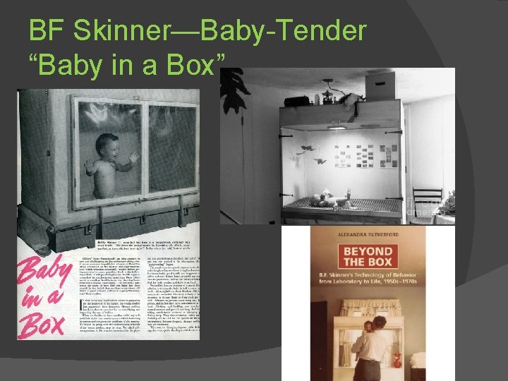 BF Skinner—Baby-Tender “Baby in a Box” 