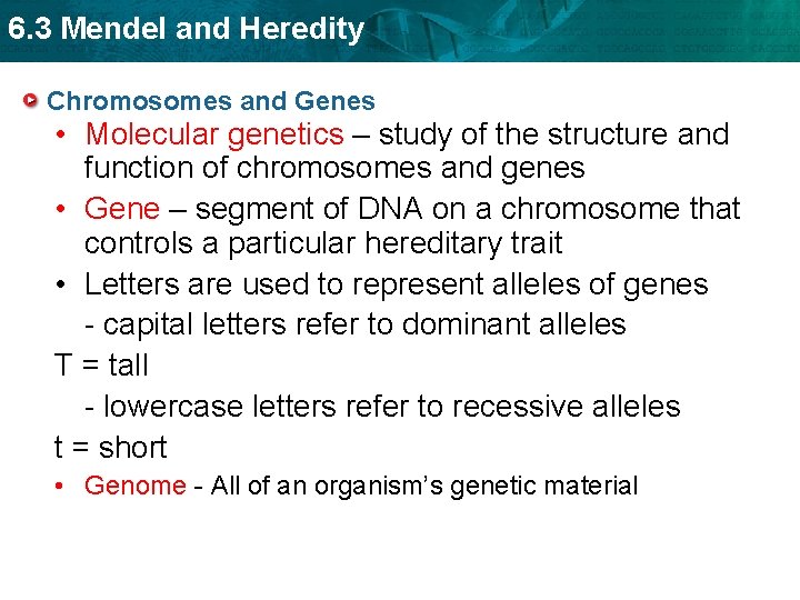 6. 3 Mendel and Heredity Chromosomes and Genes • Molecular genetics – study of