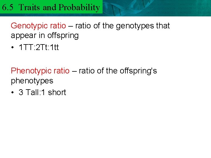 6. 5 Traits and 6. 3 Mendel and. Probability Heredity Genotypic ratio – ratio