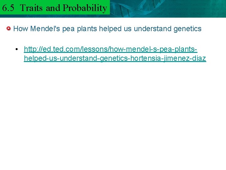 6. 5 Traits and 6. 3 Mendel and. Probability Heredity How Mendel's pea plants