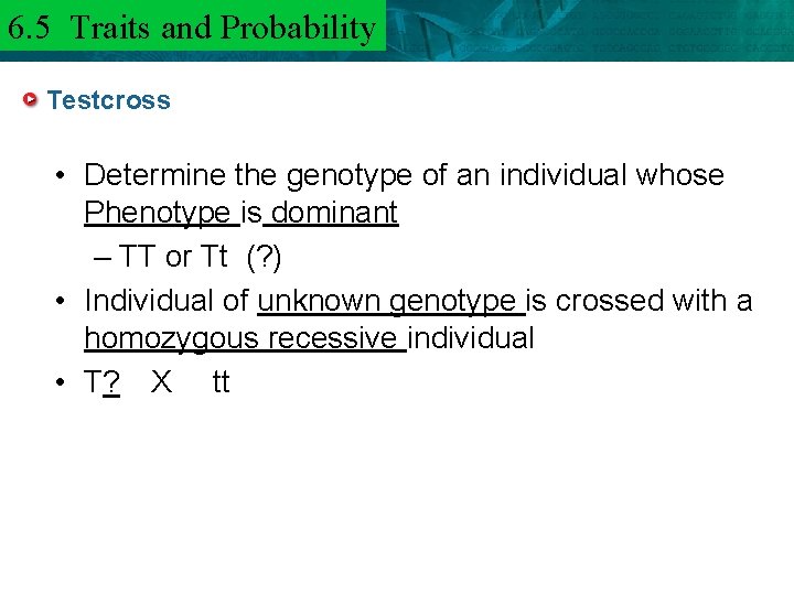 6. 5 Traits and 6. 3 Mendel and. Probability Heredity Testcross • Determine the