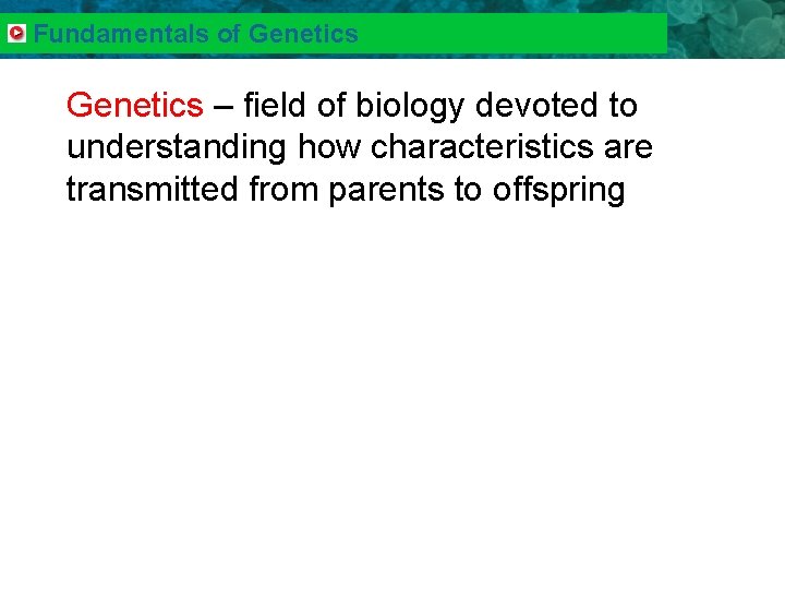 13. 1 Ecologistsof. Study Relationships Fundamentals Genetics – field of biology devoted to understanding