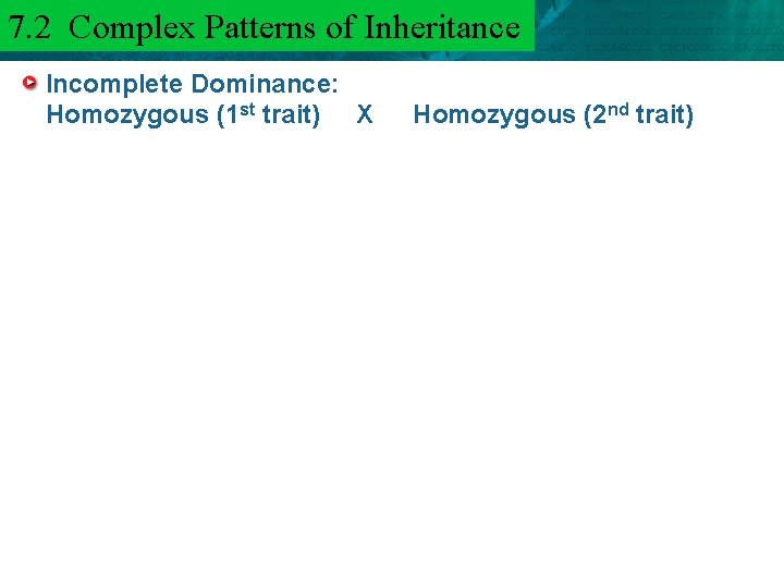 7. 2 Complex Patterns of Inheritance 6. 3 Mendel and Heredity Incomplete Dominance: Homozygous