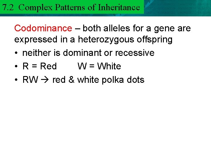 7. 2 Complex Patterns of Inheritance 6. 3 Mendel and Heredity Codominance – both