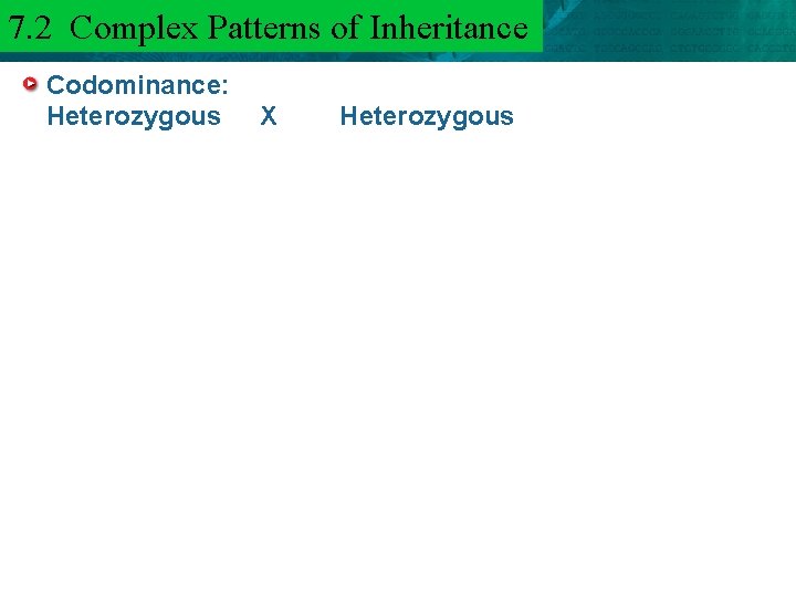 7. 2 Complex Patterns of Inheritance 6. 3 Mendel and Heredity Codominance: Heterozygous X