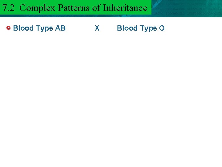 7. 2 Complex Patterns of Inheritance 6. 3 Mendel and Heredity Blood Type AB