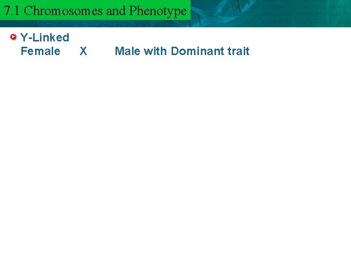 7. 1 and Phenotype 6. 3 Chromosomes Mendel and Heredity Y-Linked Female X Male