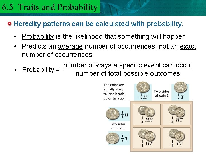 6. 5 Traits and 6. 3 Mendel and. Probability Heredity patterns can be calculated