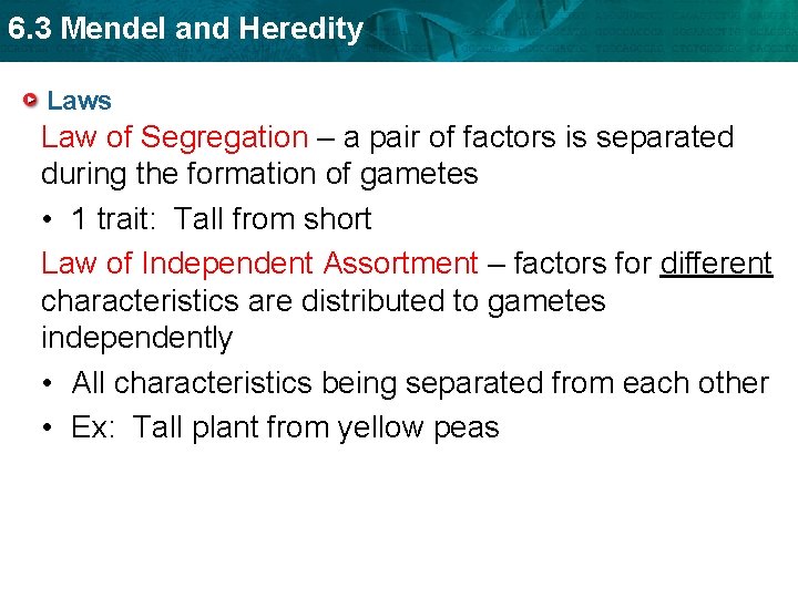 6. 3 Mendel and Heredity Laws Law of Segregation – a pair of factors