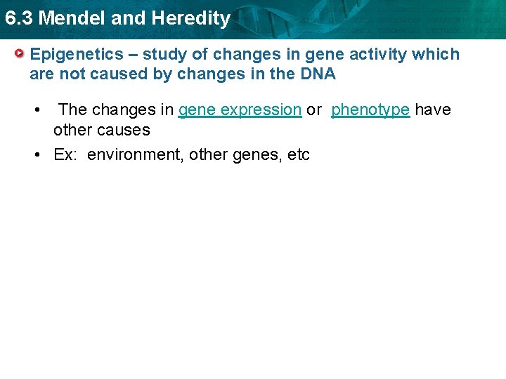 6. 3 Mendel and Heredity Epigenetics – study of changes in gene activity which