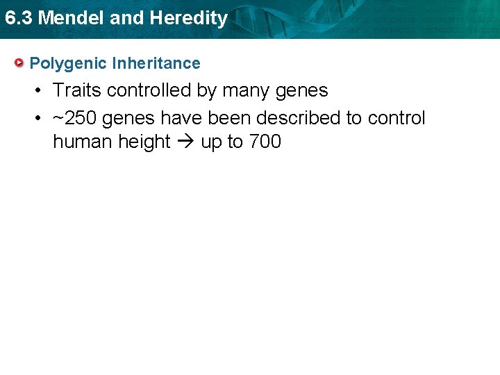 6. 3 Mendel and Heredity Polygenic Inheritance • Traits controlled by many genes •