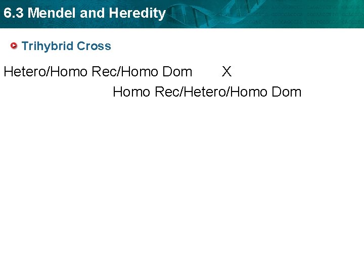 6. 3 Mendel and Heredity Trihybrid Cross Hetero/Homo Rec/Homo Dom X Homo Rec/Hetero/Homo Dom