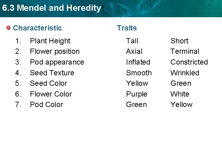 6. 3 Mendel and Heredity Characteristic 1. 2. 3. 4. 5. 6. 7. Plant