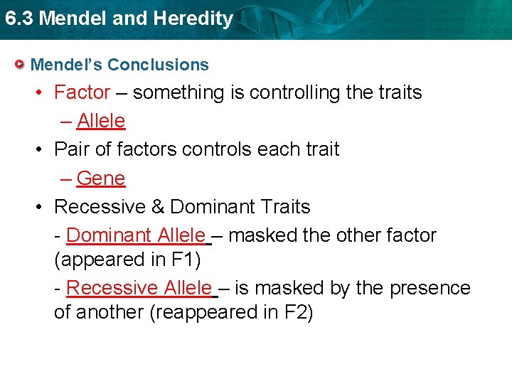 6. 3 Mendel and Heredity Mendel’s Conclusions • Factor – something is controlling the