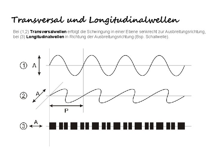 Transversal und Longitudinalwellen Bei (1, 2) Transversalwellen erfolgt die Schwingung in einer Ebene senkrecht