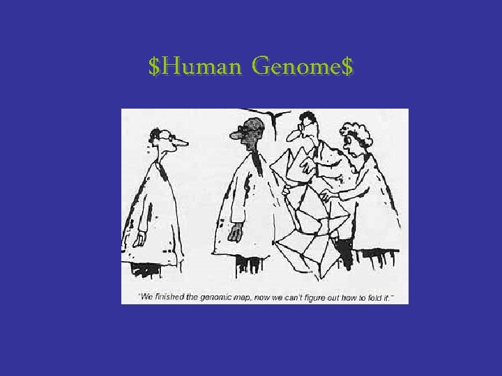 $Human Genome$ 