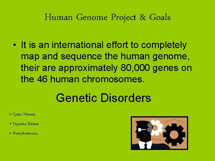 Human Genome Project & Goals • It is an international effort to completely map