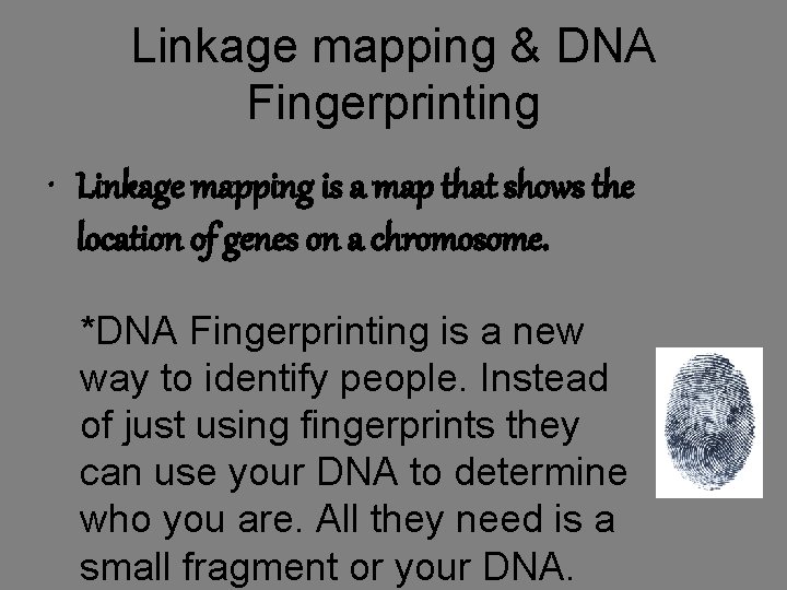 Linkage mapping & DNA Fingerprinting • Linkage mapping is a map that shows the