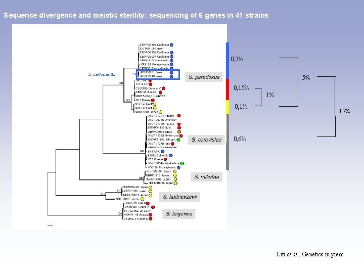 Sequence divergence and meiotic sterility: sequencing of 6 genes in 41 strains 0, 3%