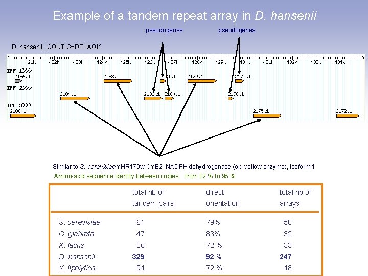 Example of a tandem repeat array in D. hansenii pseudogenes D. hansenii_ CONTIG=DEHAOK Similar