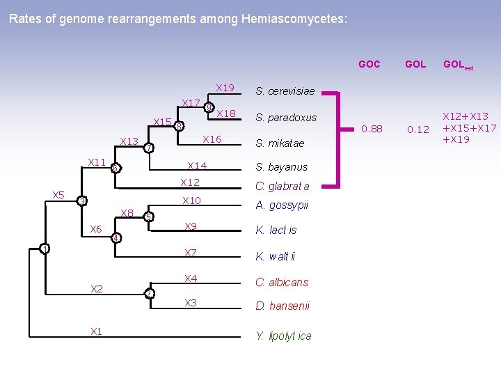 Rates of genome rearrangements among Hemiascomycetes: GOC X 17 9 X 15 8 X