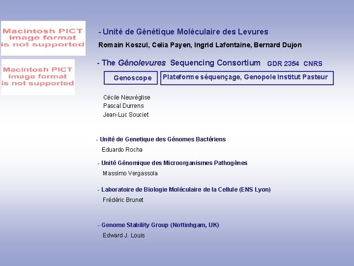 - Unité de Génétique Moléculaire des Levures Romain Koszul, Celia Payen, Ingrid Lafontaine, Bernard