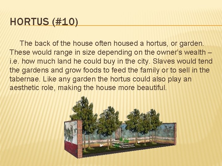 HORTUS (#10) The back of the house often housed a hortus, or garden. These