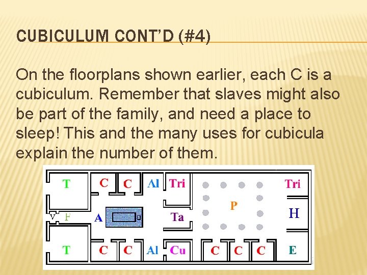 CUBICULUM CONT’D (#4) On the floorplans shown earlier, each C is a cubiculum. Remember