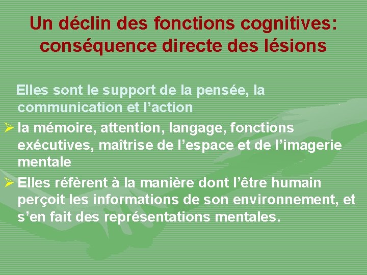 Un déclin des fonctions cognitives: conséquence directe des lésions Elles sont le support de