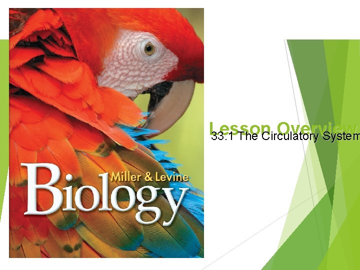 Lesson Overview 33. 1 The Circulatory System Lesson Overview 33. 1 The Circulatory System