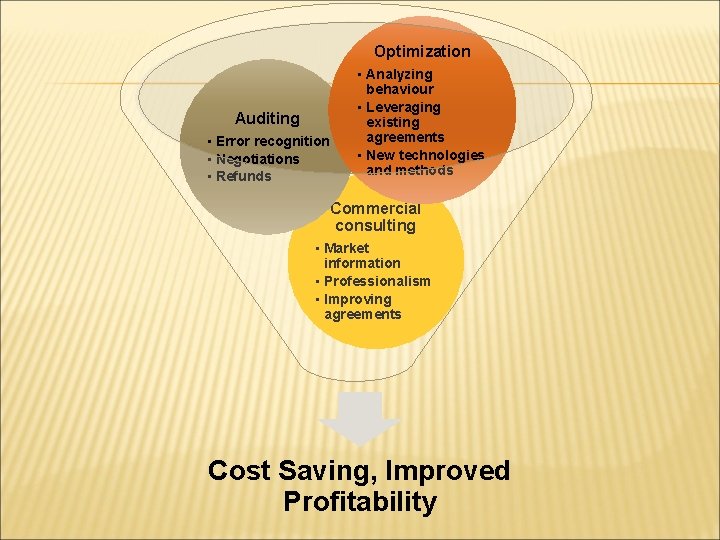 Optimization Auditing • Error recognition • Negotiations • Refunds • Analyzing behaviour • Leveraging