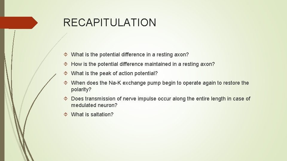 RECAPITULATION What is the potential difference in a resting axon? How is the potential RECAPITULATION What is the potential difference in a resting axon? How is the potential