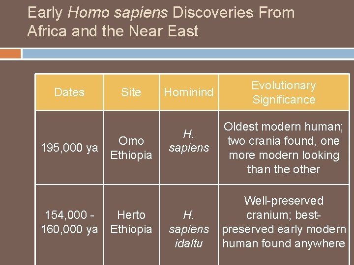 Early Homo sapiens Discoveries From Africa and the Near East Dates Site Omo 195,