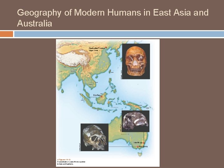 Geography of Modern Humans in East Asia and Australia 