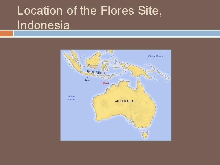 Location of the Flores Site, Indonesia 