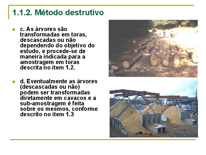 1. 1. 2. Método destrutivo n c. As árvores são transformadas em toras, descascadas