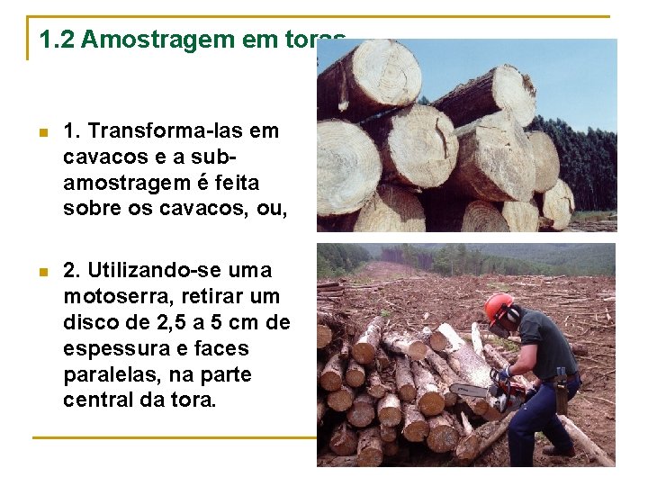 1. 2 Amostragem em toras n 1. Transforma-las em cavacos e a subamostragem é