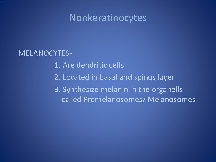 Nonkeratinocytes MELANOCYTES 1. Are dendritic cells 2. Located in basal and spinus layer 3.