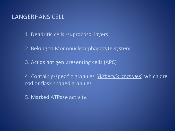 LANGERHANS CELL 1. Dendritic cells -suprabasal layers. 2. Belong to Mononuclear phagocyte system 3.