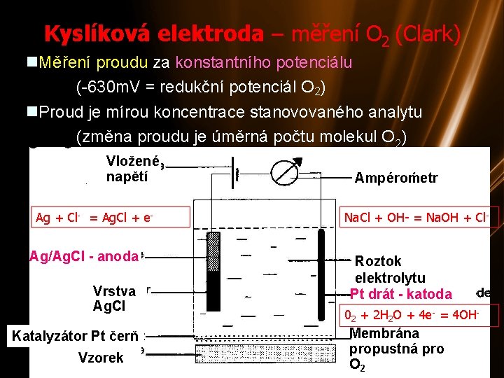 Kyslíková elektroda – měření O 2 (Clark) Měření proudu za konstantního potenciálu (-630 m.