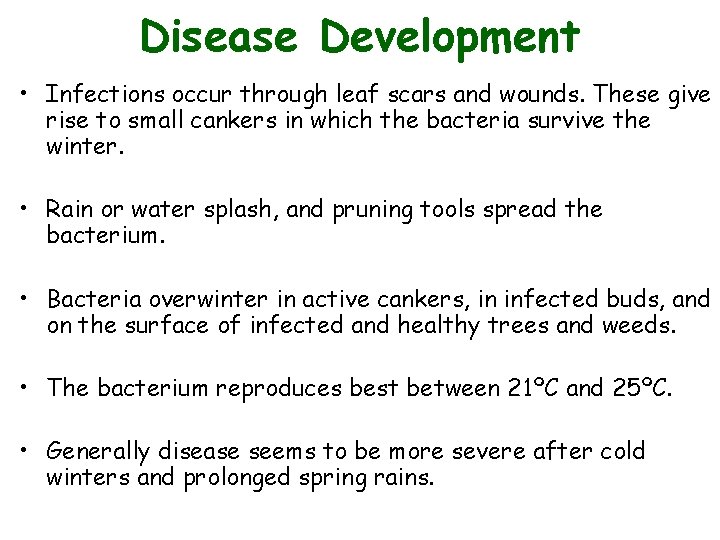 Disease Development • Infections occur through leaf scars and wounds. These give rise to Disease Development • Infections occur through leaf scars and wounds. These give rise to