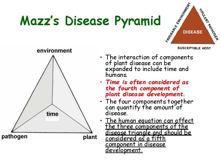 Mazz’s Disease Pyramid • The interaction of components of plant disease can be expanded Mazz’s Disease Pyramid • The interaction of components of plant disease can be expanded