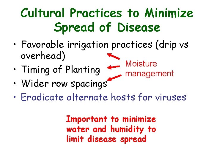 Cultural Practices to Minimize Spread of Disease • Favorable irrigation practices (drip vs overhead) Cultural Practices to Minimize Spread of Disease • Favorable irrigation practices (drip vs overhead)