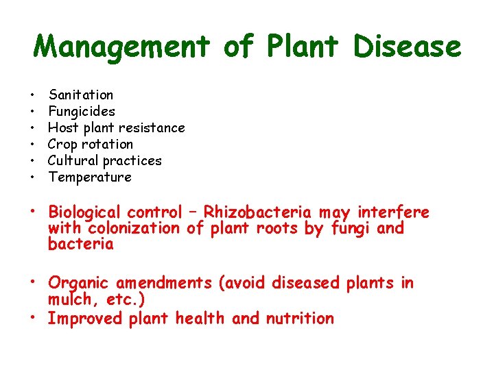 Management of Plant Disease • • • Sanitation Fungicides Host plant resistance Crop rotation Management of Plant Disease • • • Sanitation Fungicides Host plant resistance Crop rotation