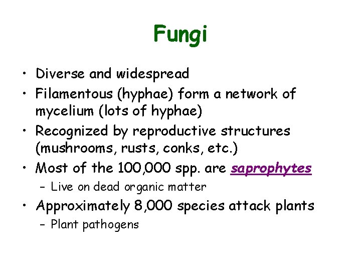Fungi • Diverse and widespread • Filamentous (hyphae) form a network of mycelium (lots Fungi • Diverse and widespread • Filamentous (hyphae) form a network of mycelium (lots
