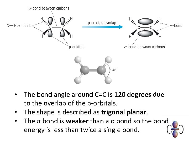  • The bond angle around C=C is 120 degrees due to the overlap