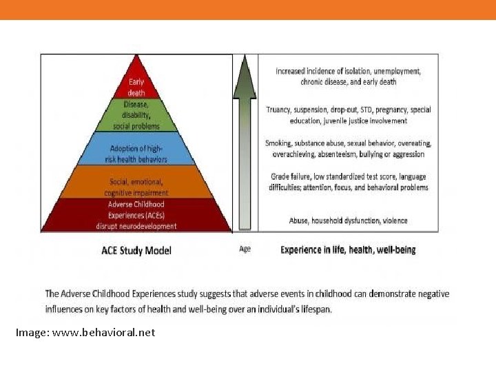 ACEs Diagram Image: www. behavioral. net 