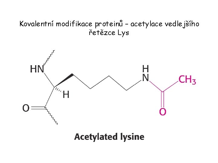 Kovalentní modifikace proteinů – acetylace vedlejšího řetězce Lys 
